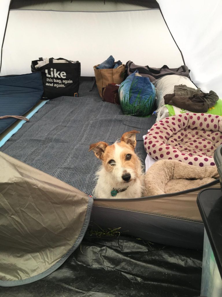 KAt the Dog, gone camping. Away from the pub and the canal boat