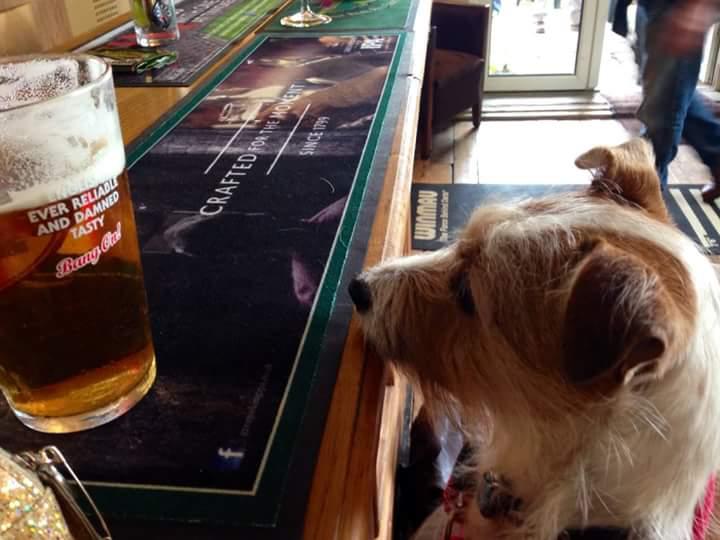 Kat the Dog, Having a beer at The New Black Horse, Foxton